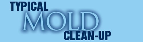 mold_cleanup